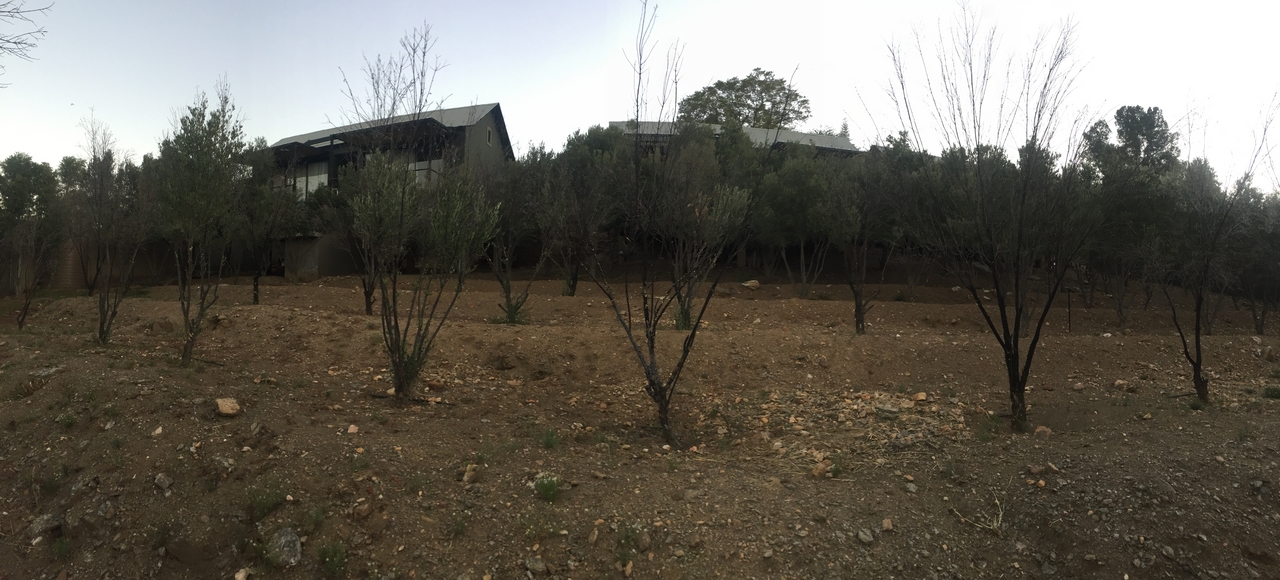 [16658] 2016_06_26_17_15_22_Africa_iPhone_6_IMG_8387_00930.jpg
