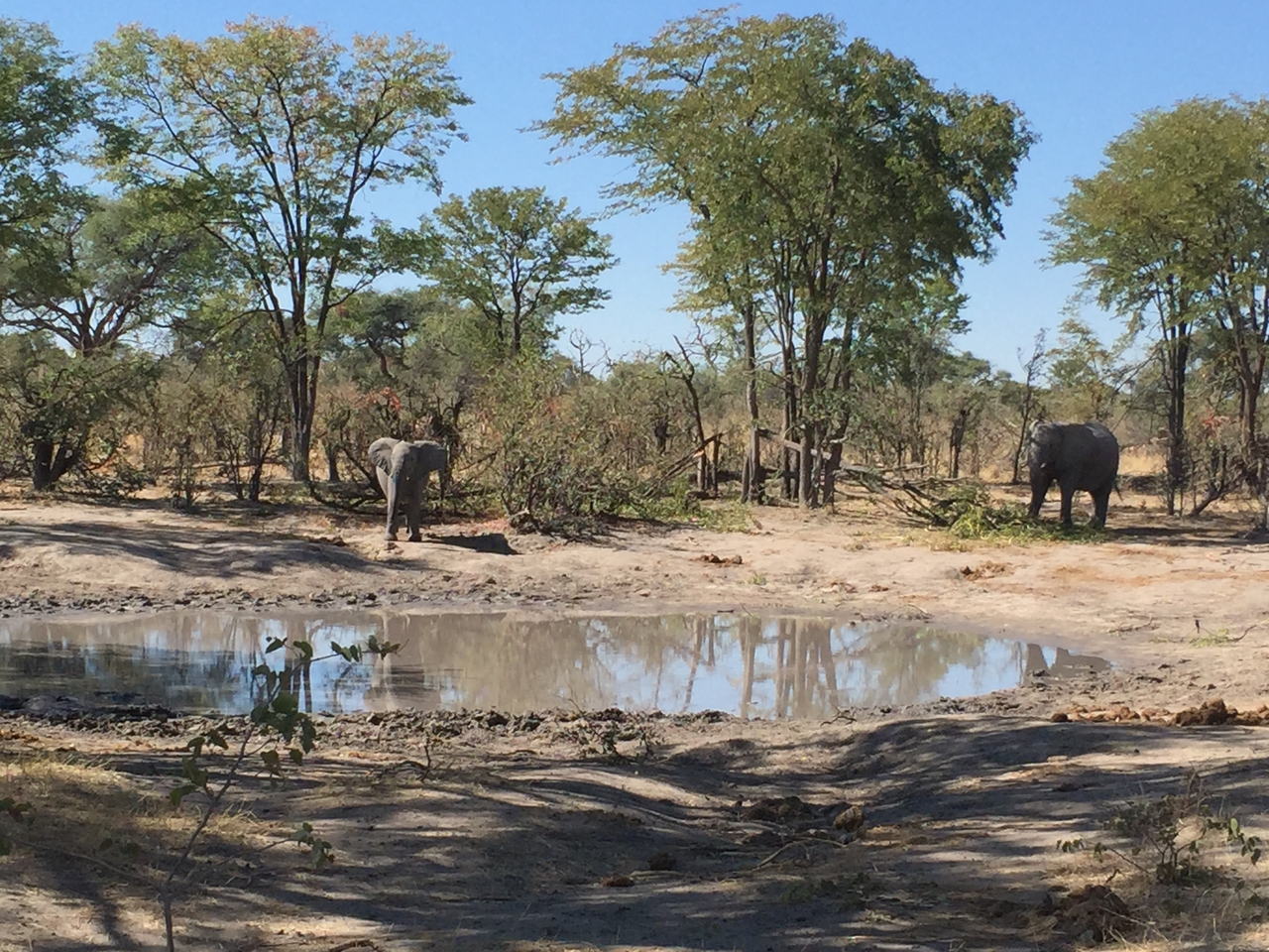[17209] 2016_06_27_13_51_25_Africa_iPhone_6_IMG_8424_00964.jpg
