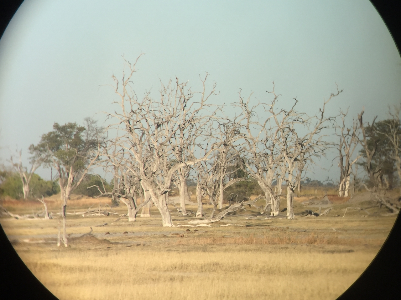 [19853] 2016_06_28_07_50_19_Africa_iPhone_6_IMG_8473_03354.jpg