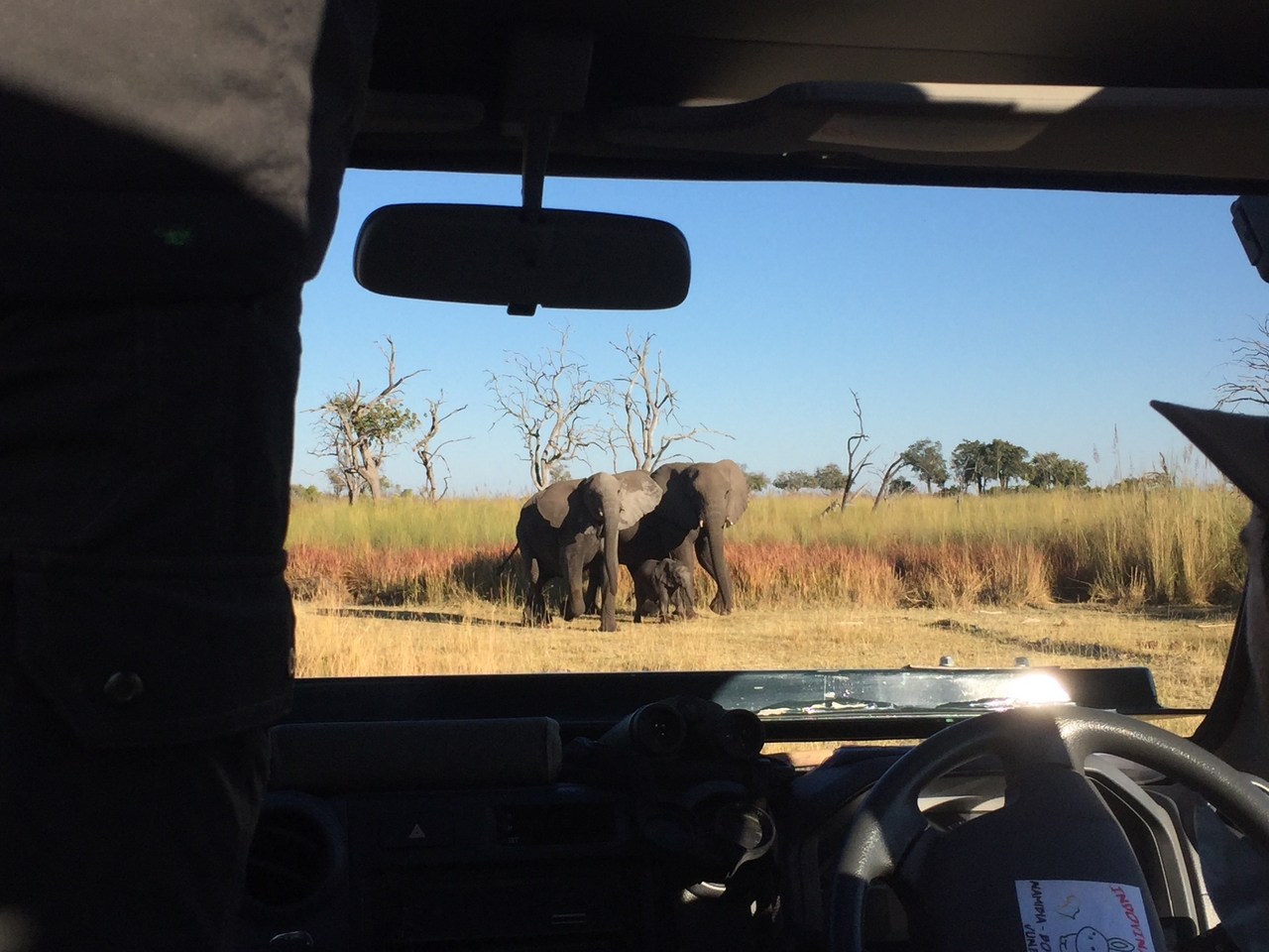 [19878] 2016_06_28_08_20_08_Africa_iPhone_6_IMG_8482_00440.jpg