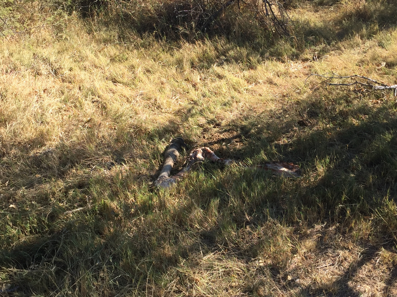 [19940] 2016_06_28_10_14_42_Africa_iPhone_6_IMG_8496_03377.jpg