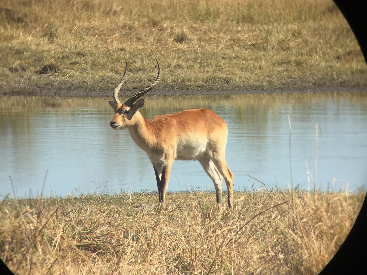 [20083] 2016_06_28_11_32_55_Africa_iPhone_6_IMG_8525_01057.jpg