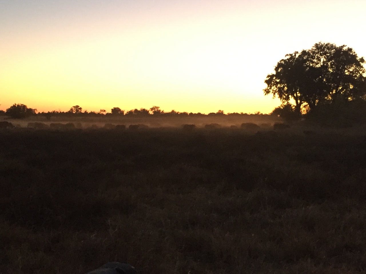 [20455] 2016_06_28_18_21_19_Africa_iPhone_6_IMG_8548_00497.jpg