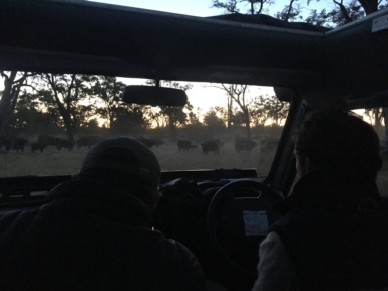 [20464] 2016_06_28_18_24_35_Africa_iPhone_6_IMG_8549_03421.jpg