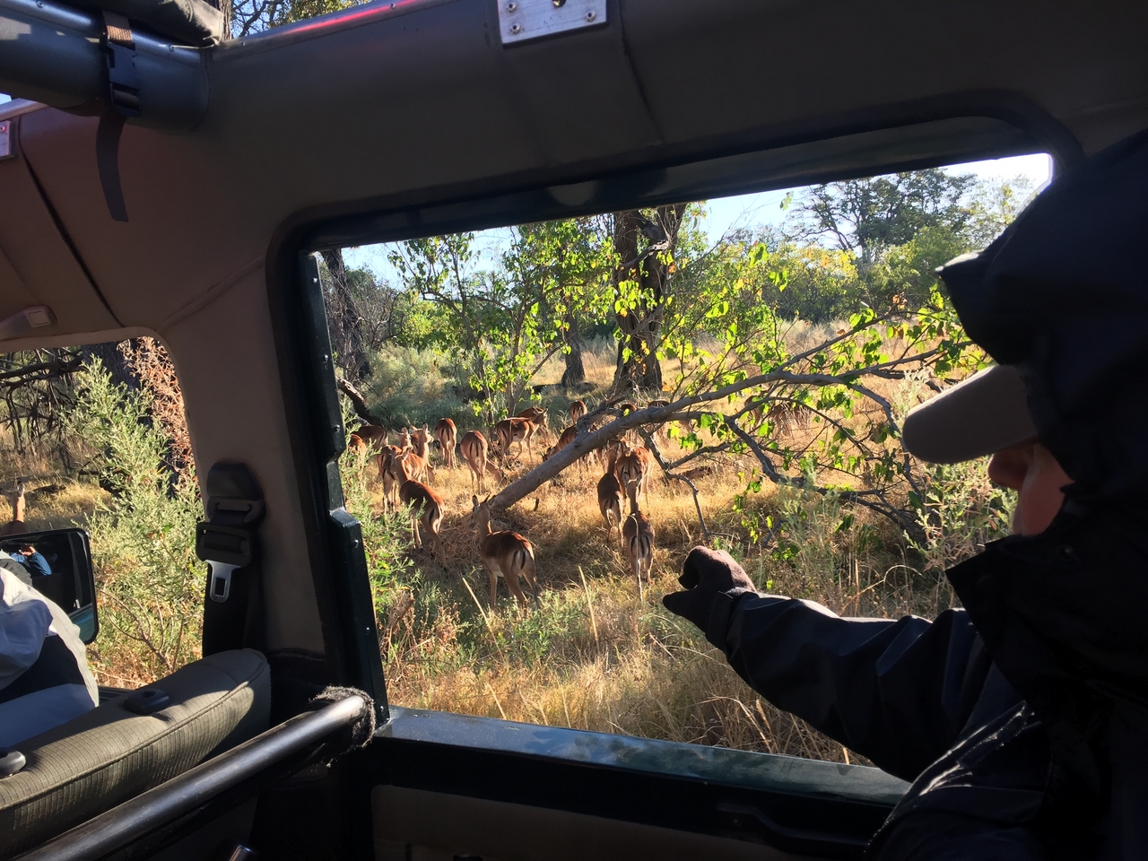[21375] 2016_06_29_07_59_58_Africa_iPhone_6_IMG_8554_01085.jpg