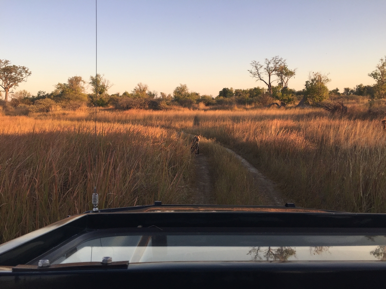 [22213] 2016_06_29_17_41_05_Africa_iPhone_6_IMG_8560_01088.jpg