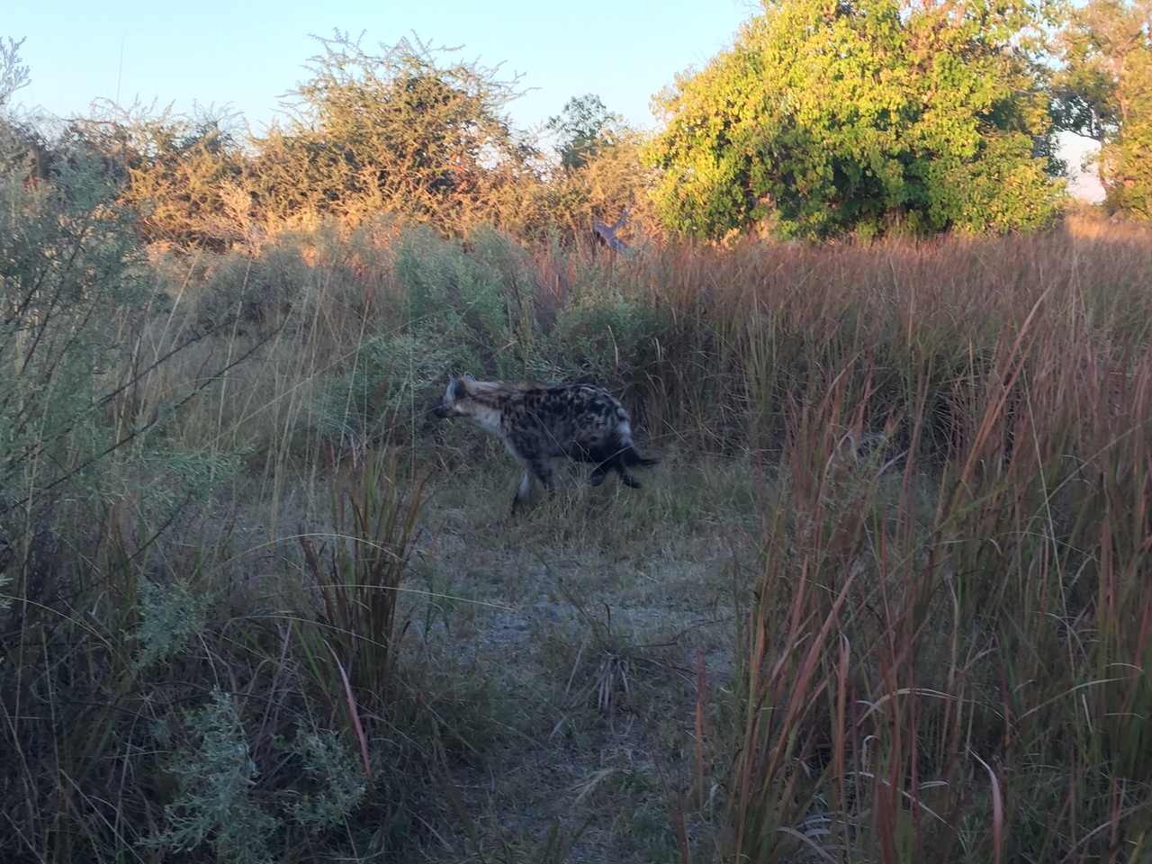 [22220] 2016_06_29_17_41_14_Africa_iPhone_6_IMG_8562_03431.jpg