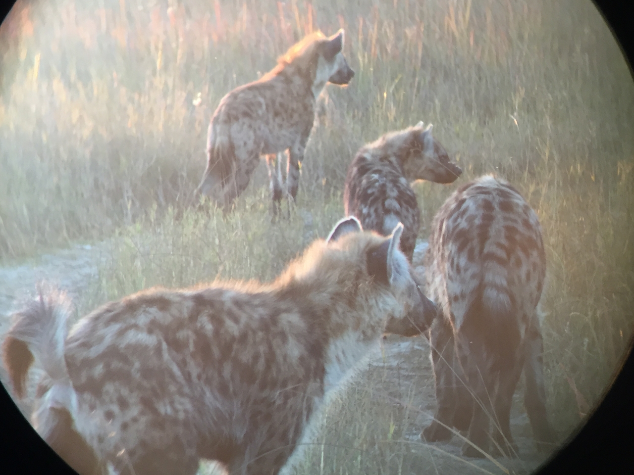 [22231] 2016_06_29_17_48_28_Africa_iPhone_6_IMG_8566_01094.jpg