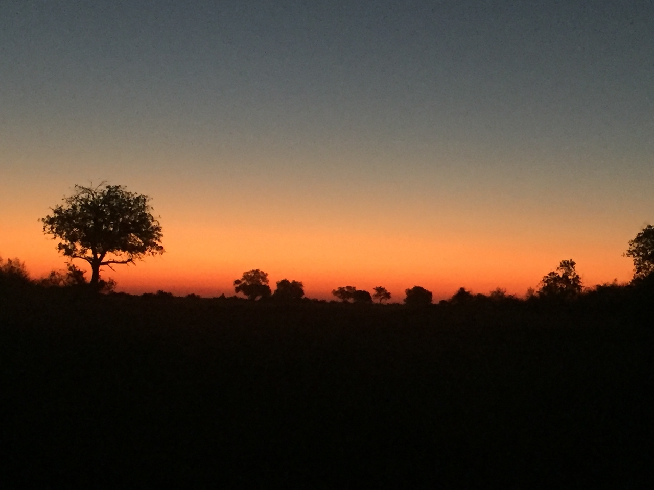[22263] 2016_06_29_18_28_36_Africa_iPhone_6_IMG_8576_00521.jpg