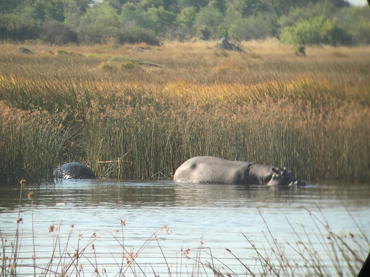 [25798] 2016_06_30_15_18_31_Africa_iPhone_6_IMG_8595_00537.jpg