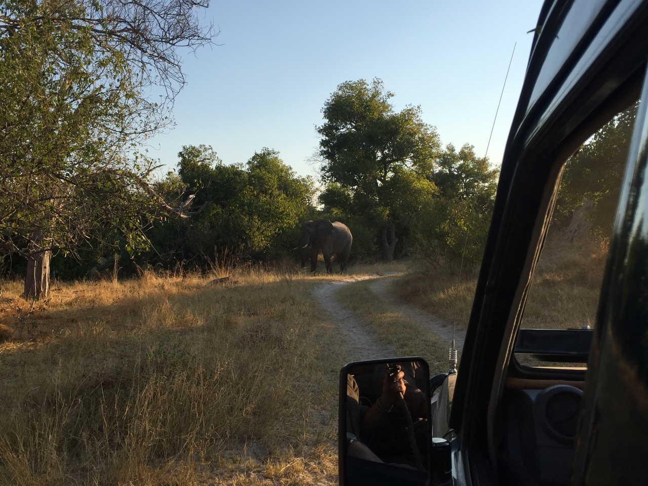 [26626] 2016_06_30_17_00_36_Africa_iPhone_6_IMG_8610_01132.jpg