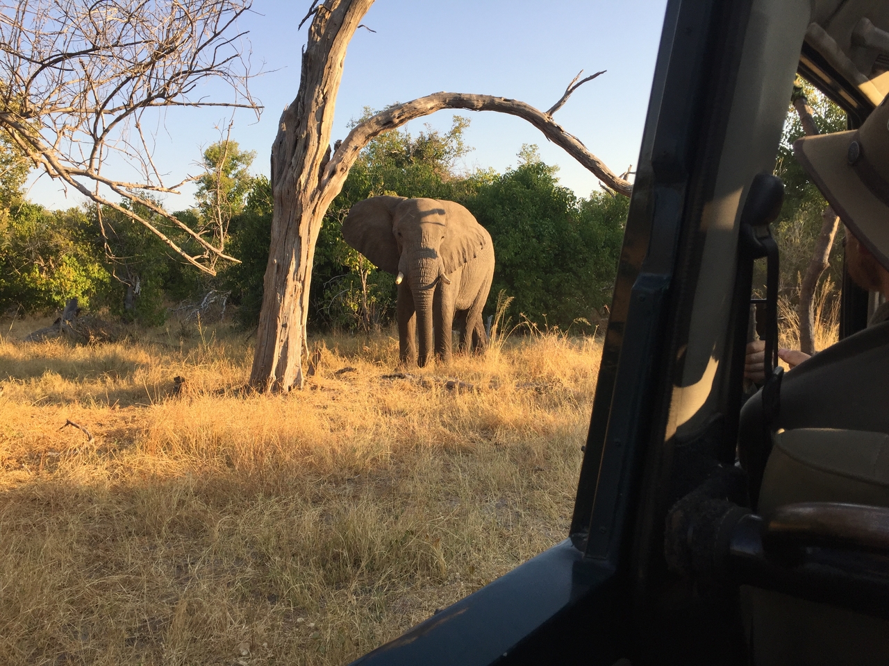 [26629] 2016_06_30_17_01_17_Africa_iPhone_6_IMG_8611_01133.jpg