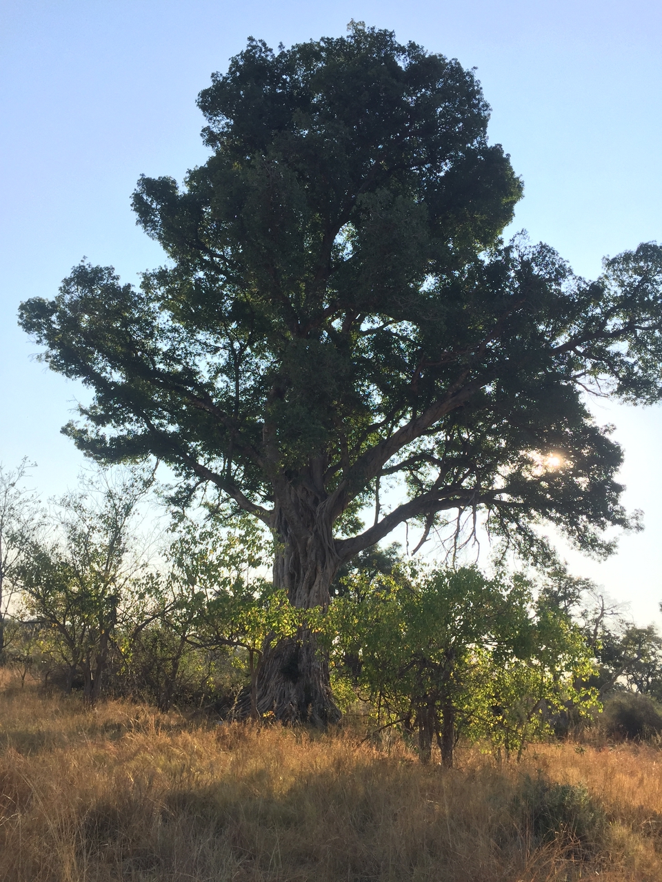 [26908] 2016_07_01_08_25_31_Africa_iPhone_6_IMG_8629_00566.jpg