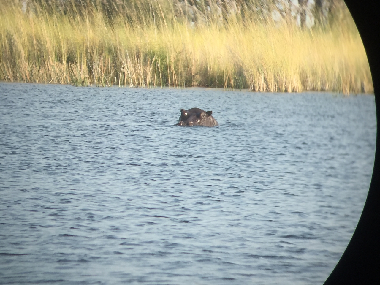 [26938] 2016_07_01_10_02_49_Africa_iPhone_6_IMG_8634_00570.jpg