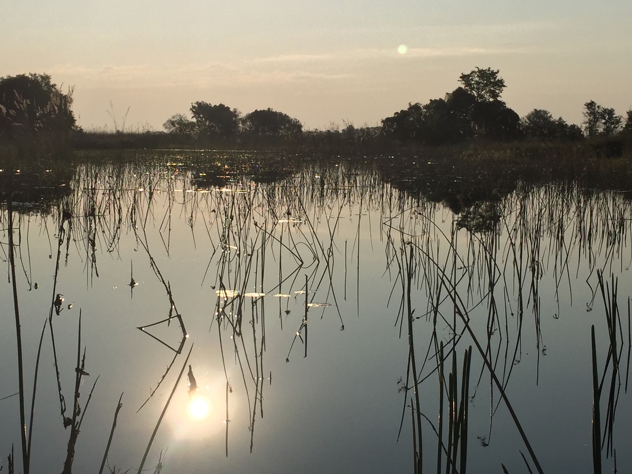 [27350] 2016_07_01_16_48_04_Africa_iPhone_6_IMG_8691_00624.jpg