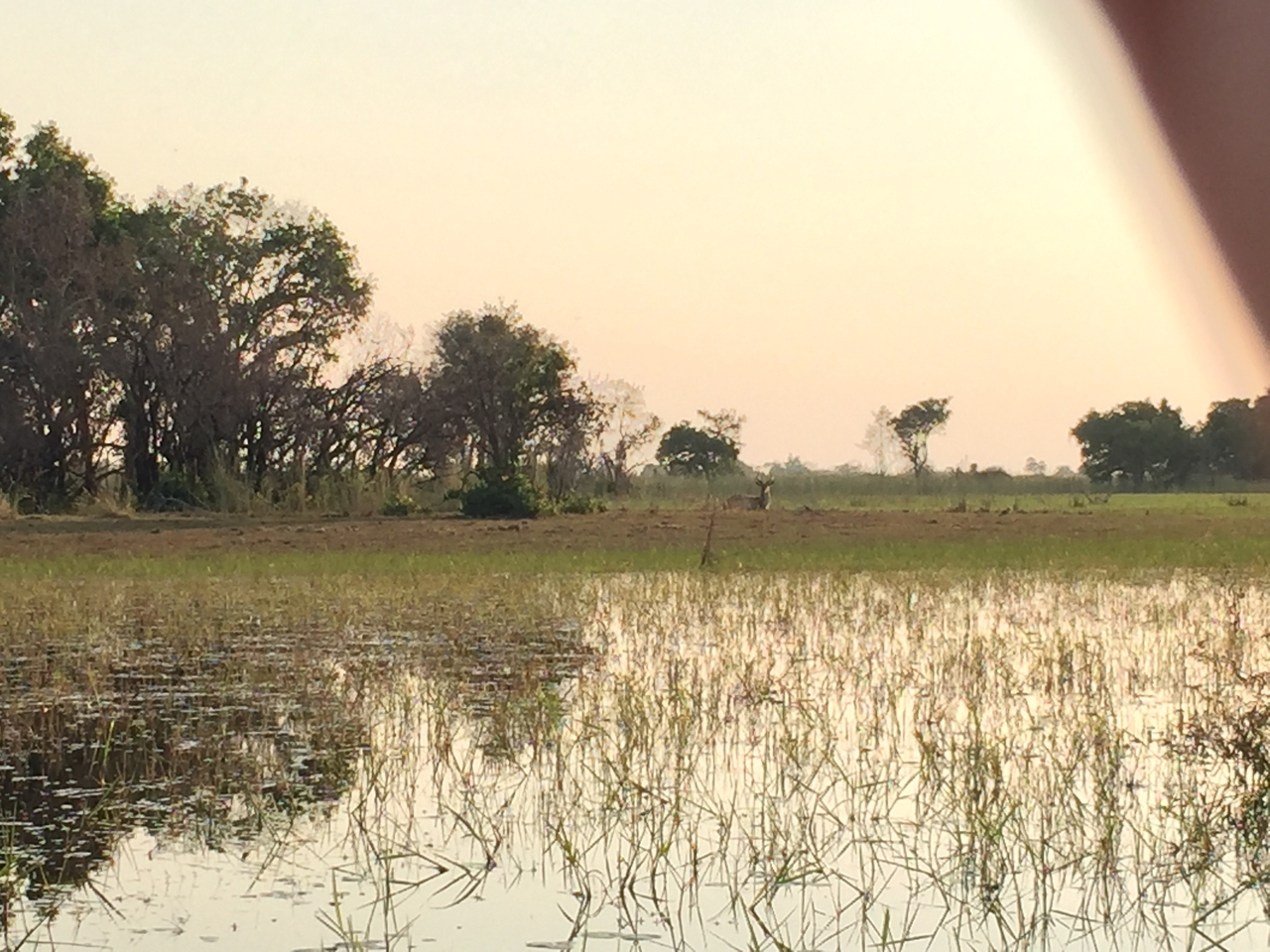 [27375] 2016_07_01_17_08_42_Africa_iPhone_6_IMG_8699_01211.jpg