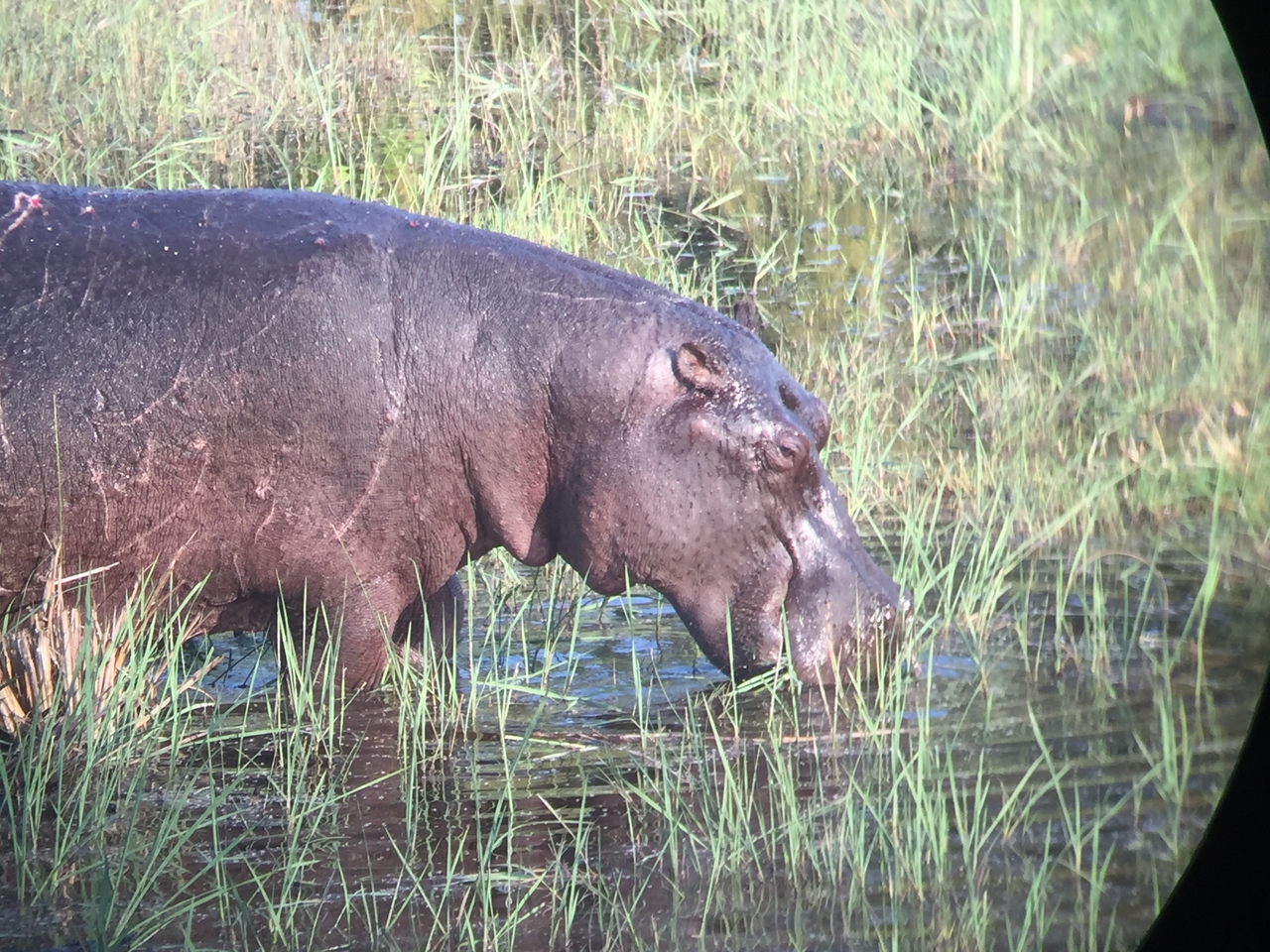 [27958] 2016_07_02_08_43_11_Africa_iPhone_6_IMG_8731_01237.jpg