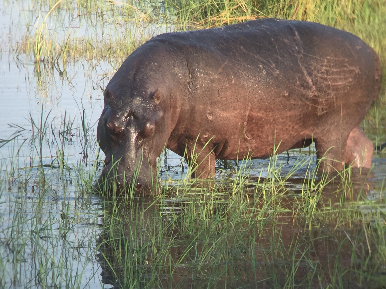 [27967] 2016_07_02_08_44_57_Africa_iPhone_6_IMG_8734_01240.jpg