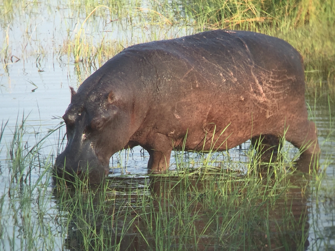 [27985] 2016_07_02_08_45_14_Africa_iPhone_6_IMG_8740_01246.jpg