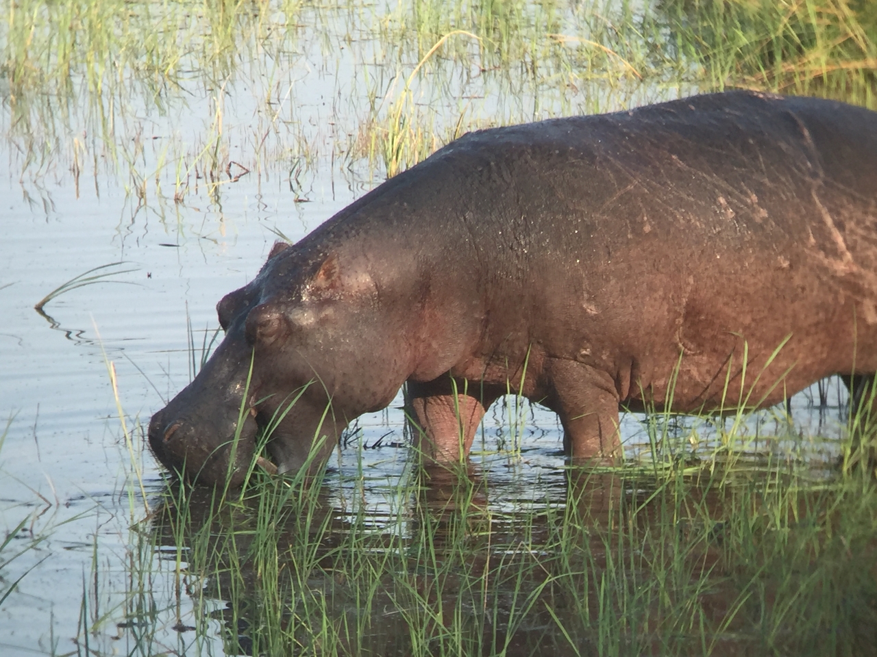 [27988] 2016_07_02_08_45_15_Africa_iPhone_6_IMG_8741_01247.jpg