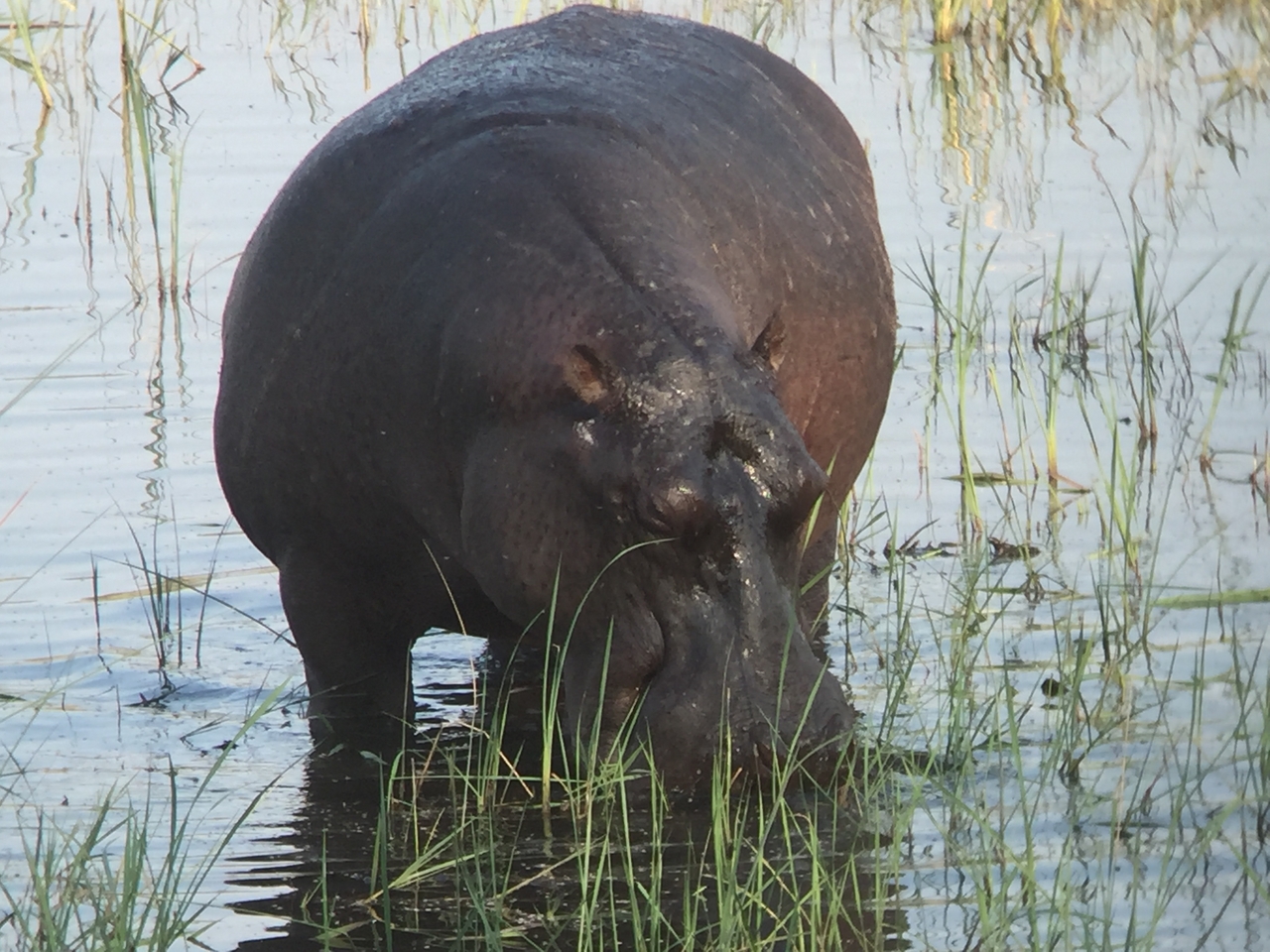 [28008] 2016_07_02_08_45_38_Africa_iPhone_6_IMG_8748_00672.jpg