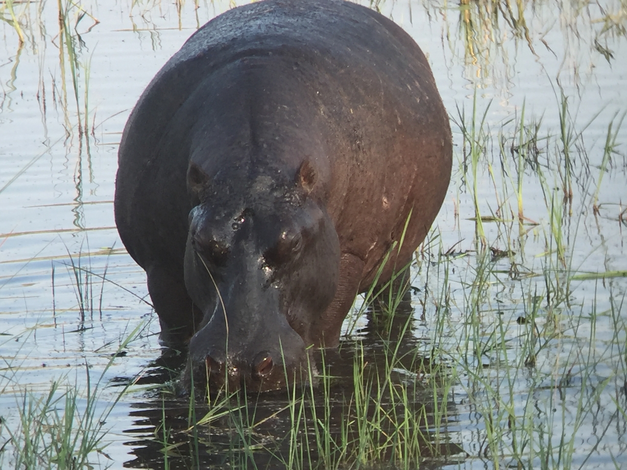 [28012] 2016_07_02_08_45_40_Africa_iPhone_6_IMG_8749_01255.jpg