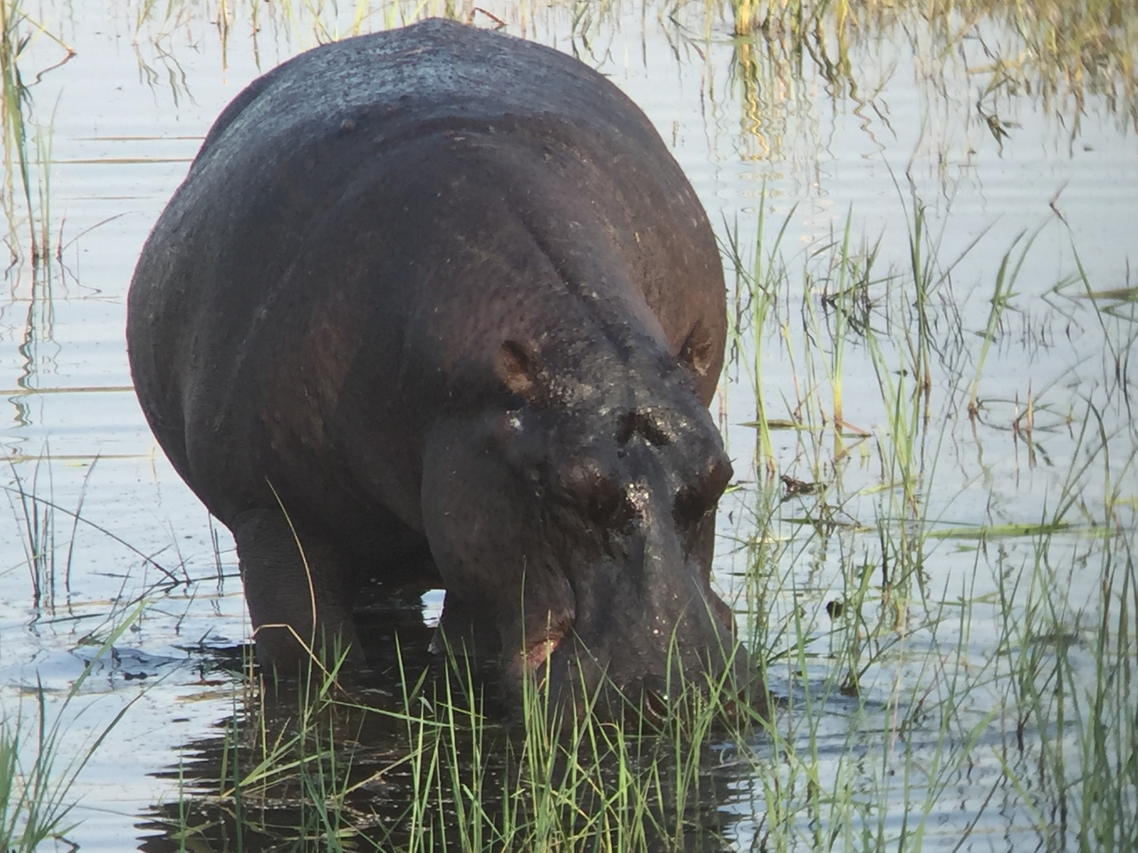 [28021] 2016_07_02_08_45_44_Africa_iPhone_6_IMG_8752_01258.jpg