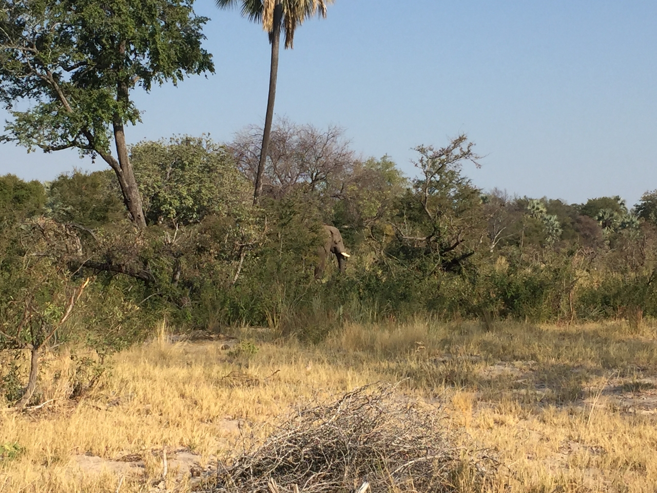 [28031] 2016_07_02_09_17_25_Africa_iPhone_6_IMG_8754_03601.jpg