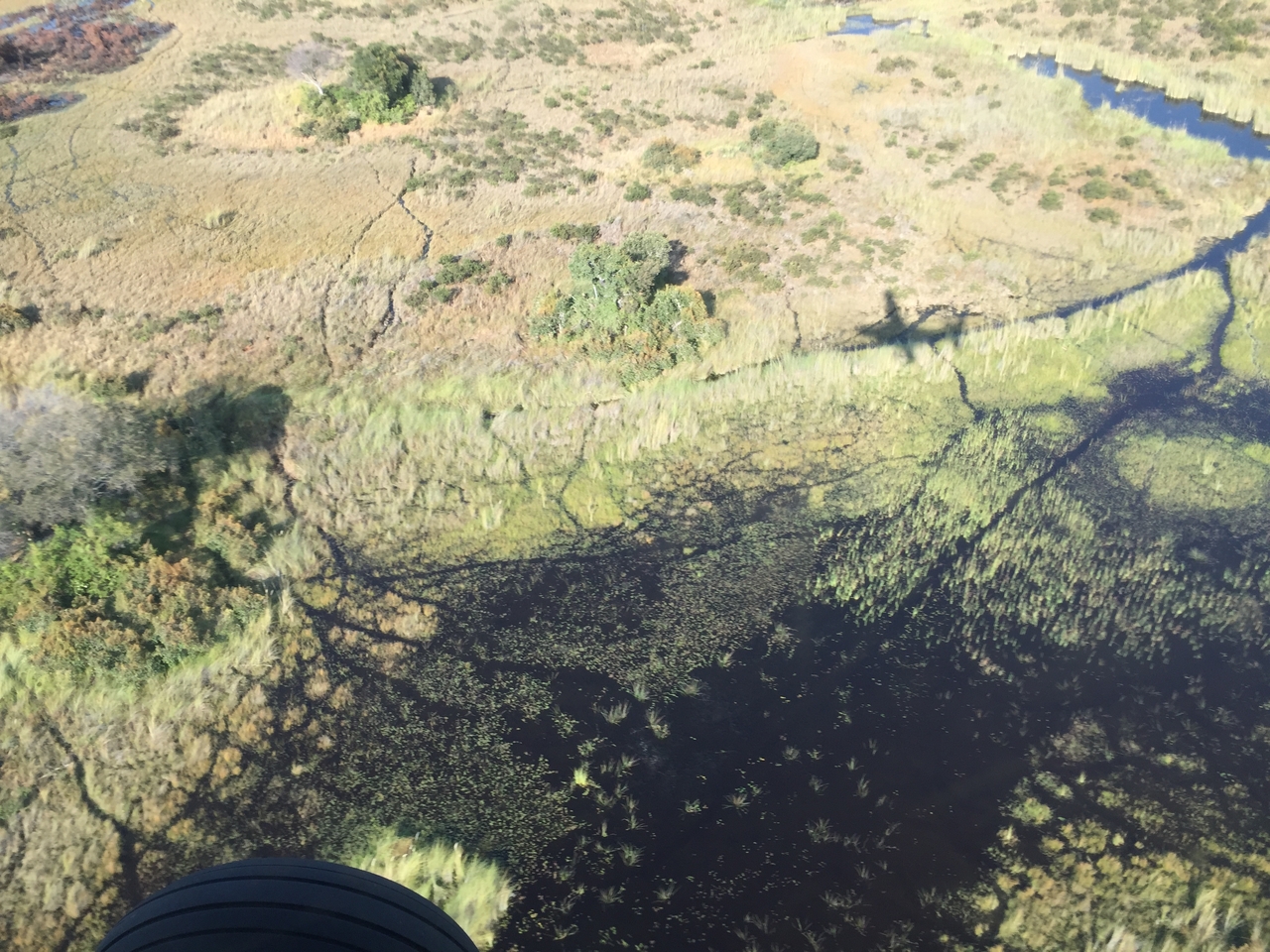 [28076] 2016_07_02_09_25_08_Africa_iPhone_6_IMG_8756_03603.jpg