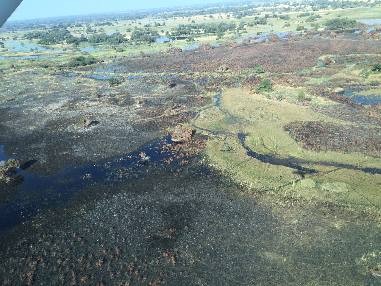 [28078] 2016_07_02_09_25_17_Africa_iPhone_6_IMG_8757_01263.jpg