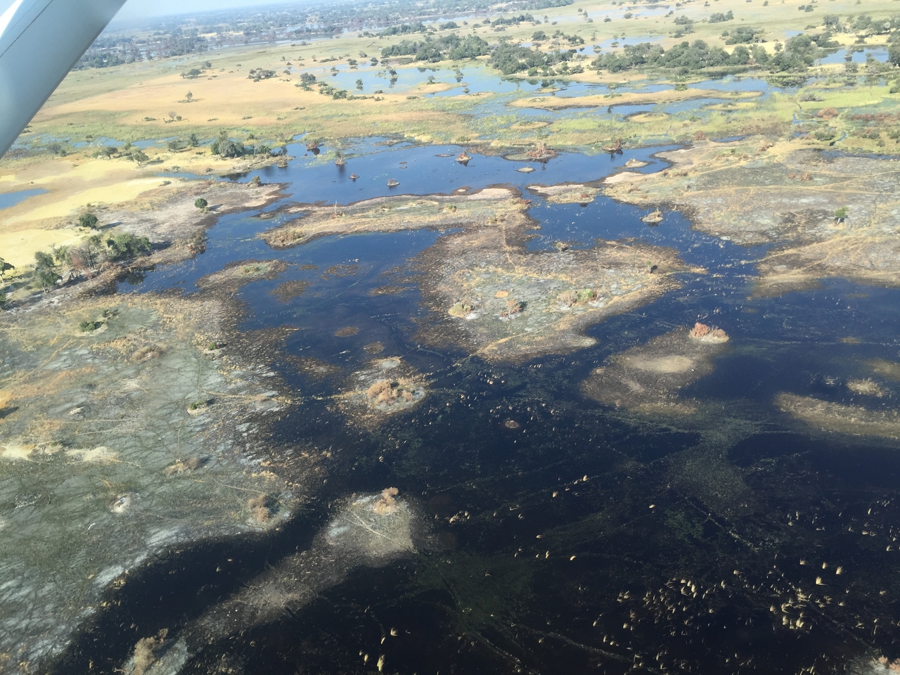 [28080] 2016_07_02_09_25_28_Africa_iPhone_6_IMG_8758_00682.jpg