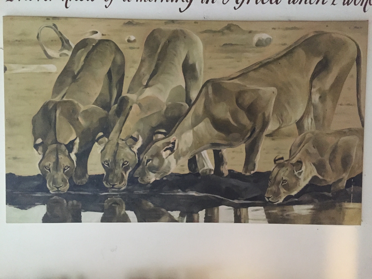 [31212] 2016_07_03_07_15_33_Africa_iPhone_6_IMG_8784_00701.jpg