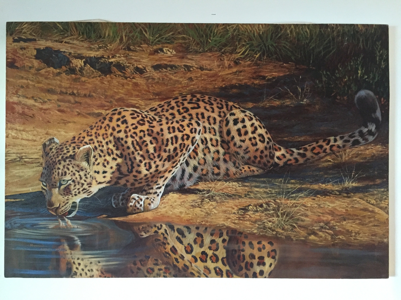 [32692] 2016_07_03_16_52_12_Africa_iPhone_6_IMG_8941_01413.jpg