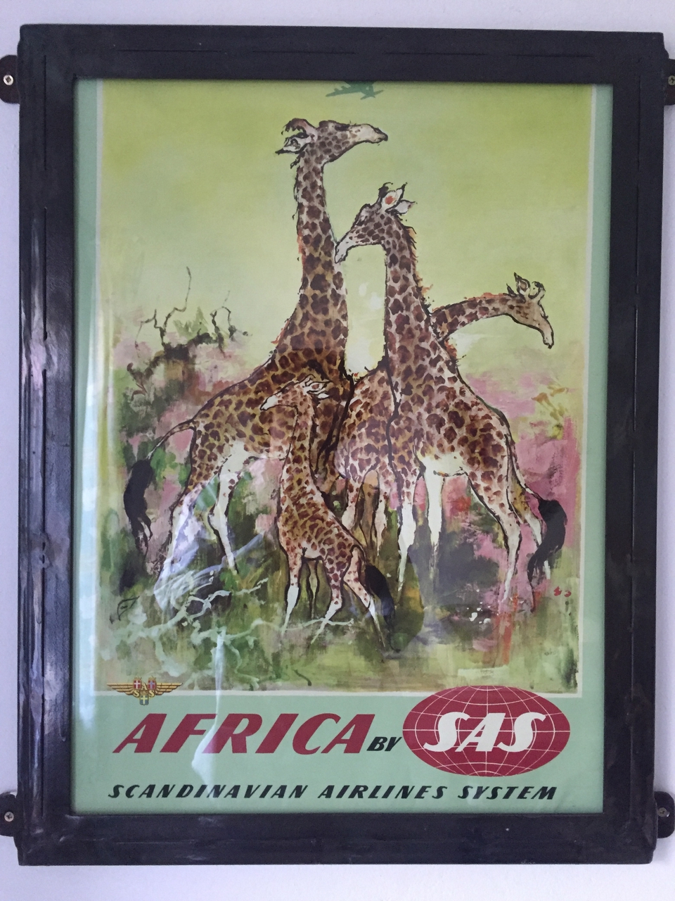 [32709] 2016_07_03_17_04_45_Africa_iPhone_6_IMG_8945_00835.jpg