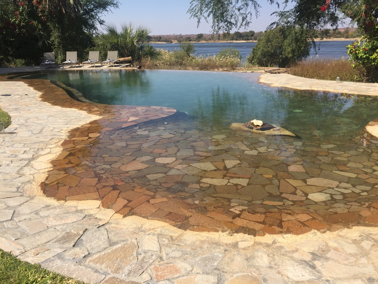 [34203] 2016_07_04_11_46_47_Africa_iPhone_6_IMG_8976_00861.jpg