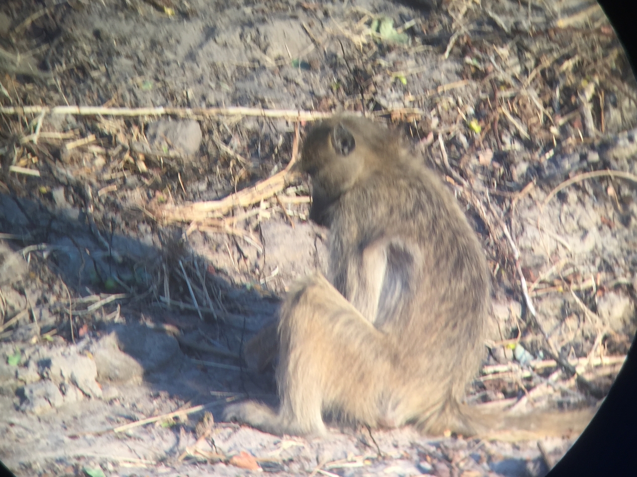 [34332] 2016_07_04_17_25_44_Africa_iPhone_6_IMG_9014_00007.jpg
