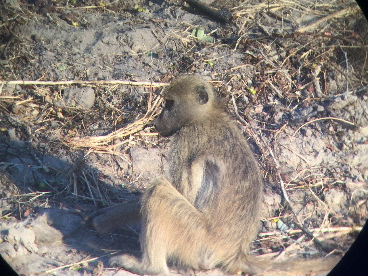 [34337] 2016_07_04_17_25_46_Africa_iPhone_6_IMG_9015_03801.jpg