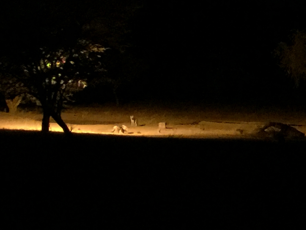 [429] 2016_06_21_21_11_31_Africa_iPhone_6_Plus_IMG_3405_00096.jpg