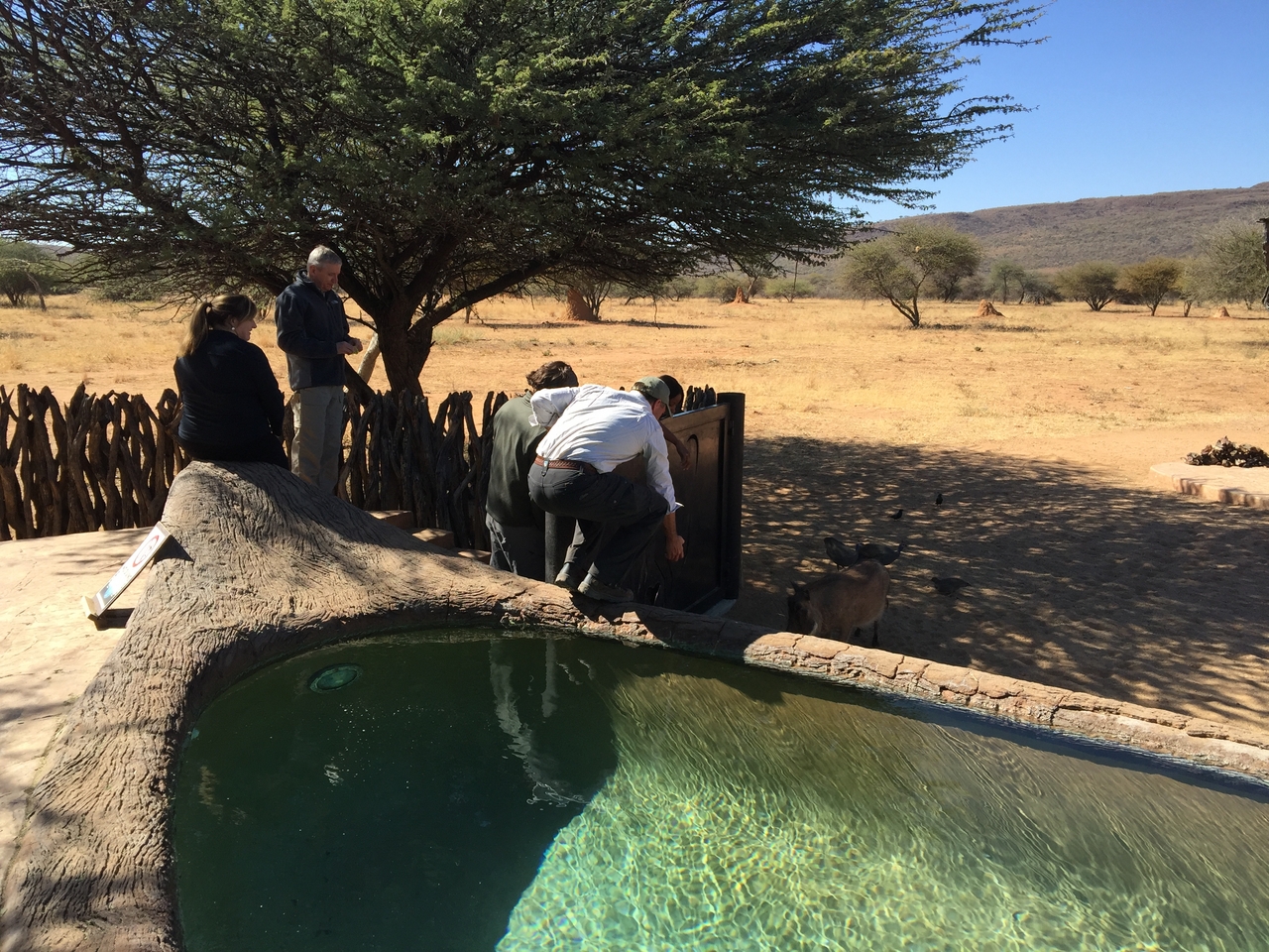 [2583] 2016_06_22_10_58_34_Africa_iPhone_6_Plus_IMG_3423_00113.jpg
