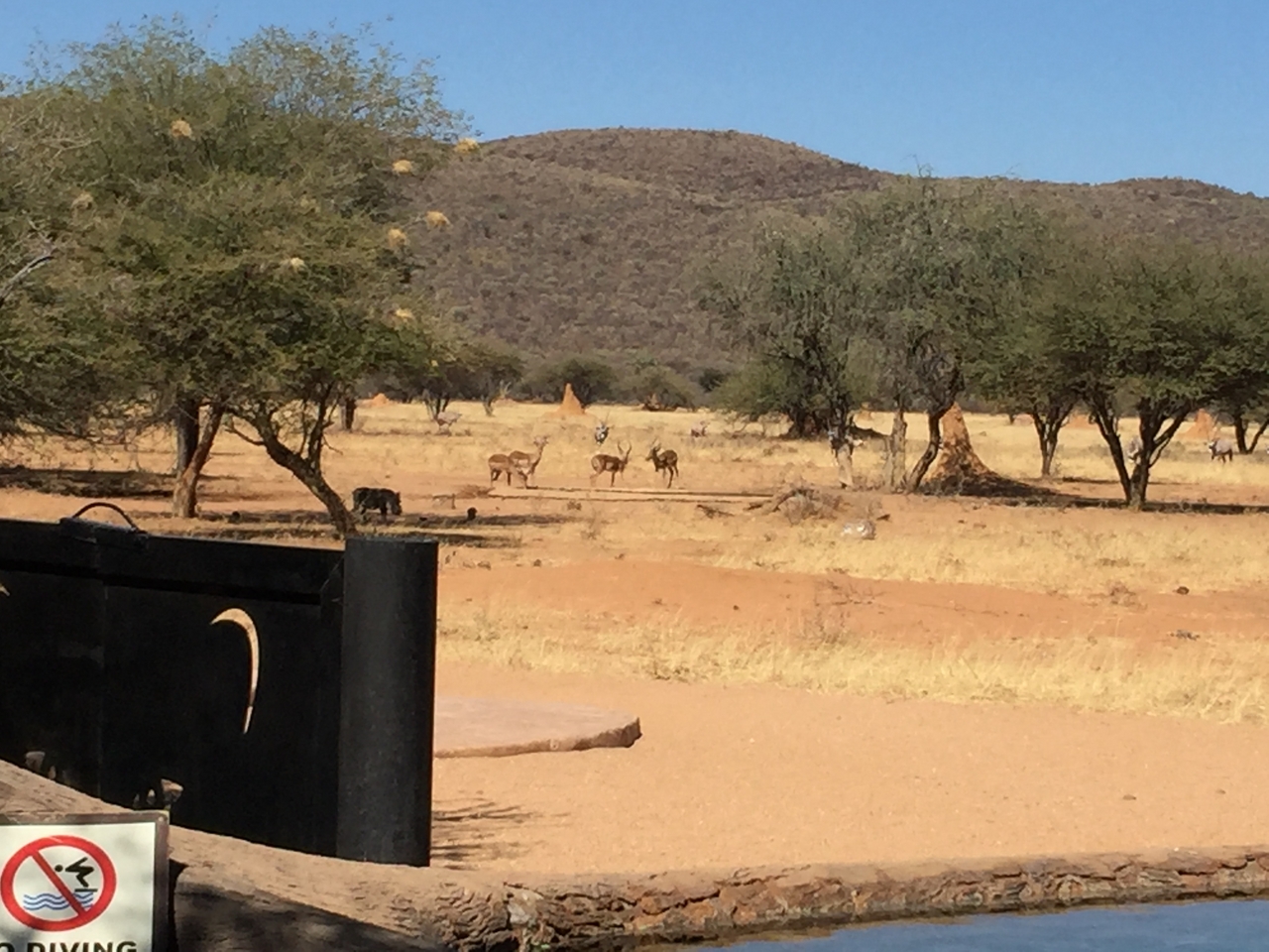 [3475] 2016_06_22_12_10_22_Africa_iPhone_6_Plus_IMG_3435_00125.jpg