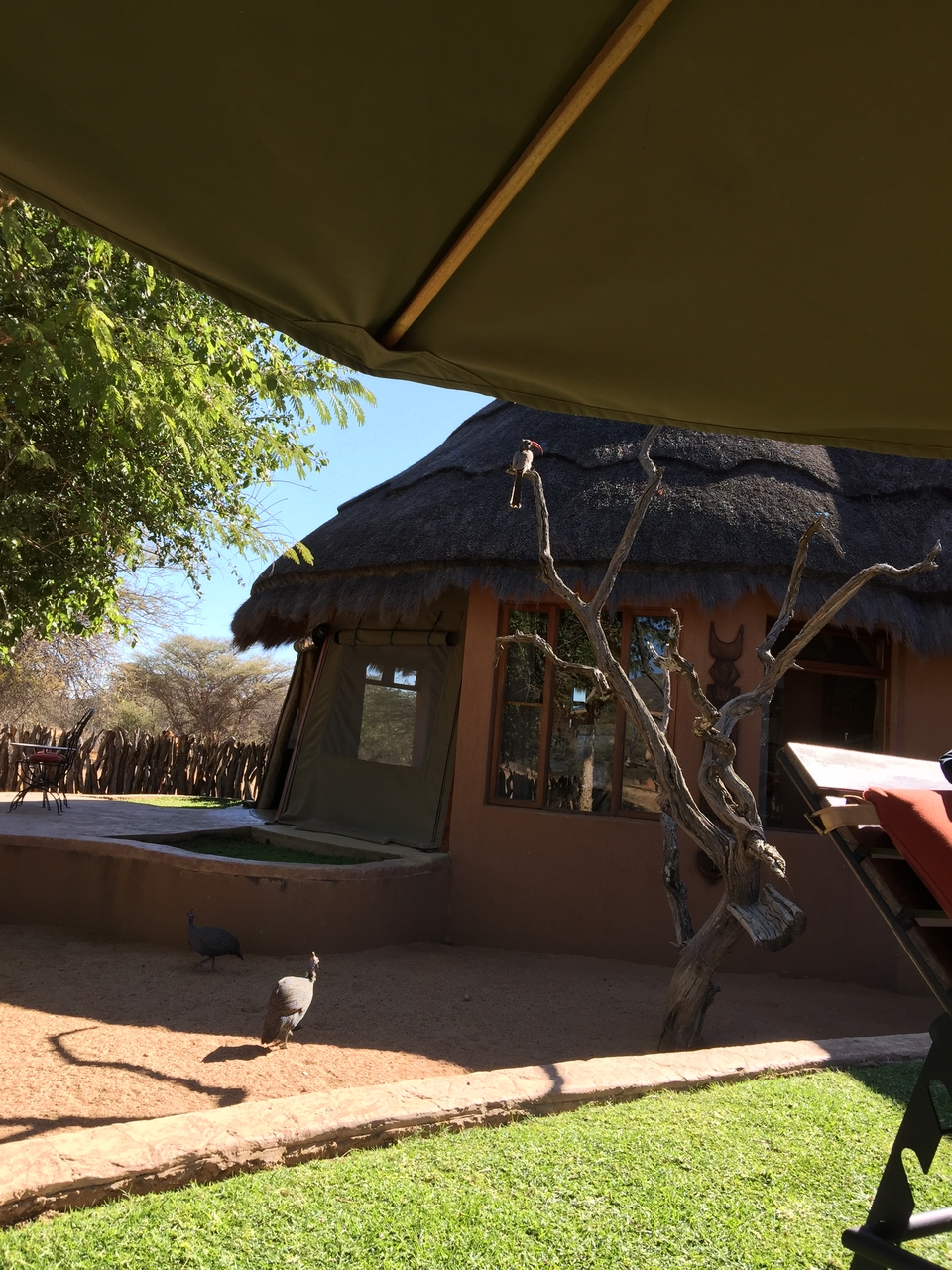 [3530] 2016_06_22_13_43_02_Africa_iPhone_6_Plus_IMG_3453_00140.jpg