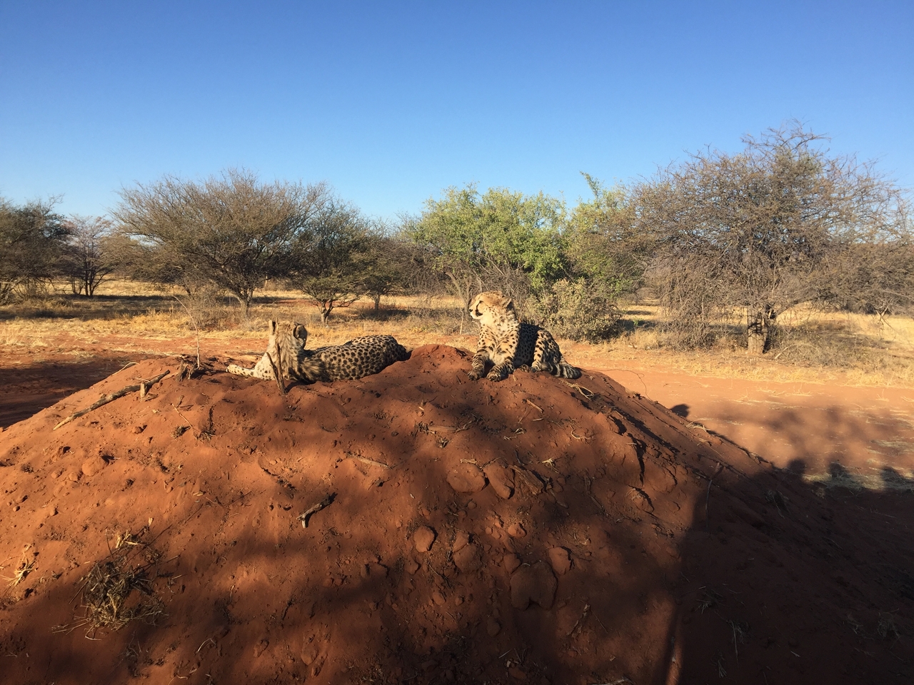 [9371] 2016_06_23_16_15_13_Africa_iPhone_6_Plus_IMG_3542_00187.jpg