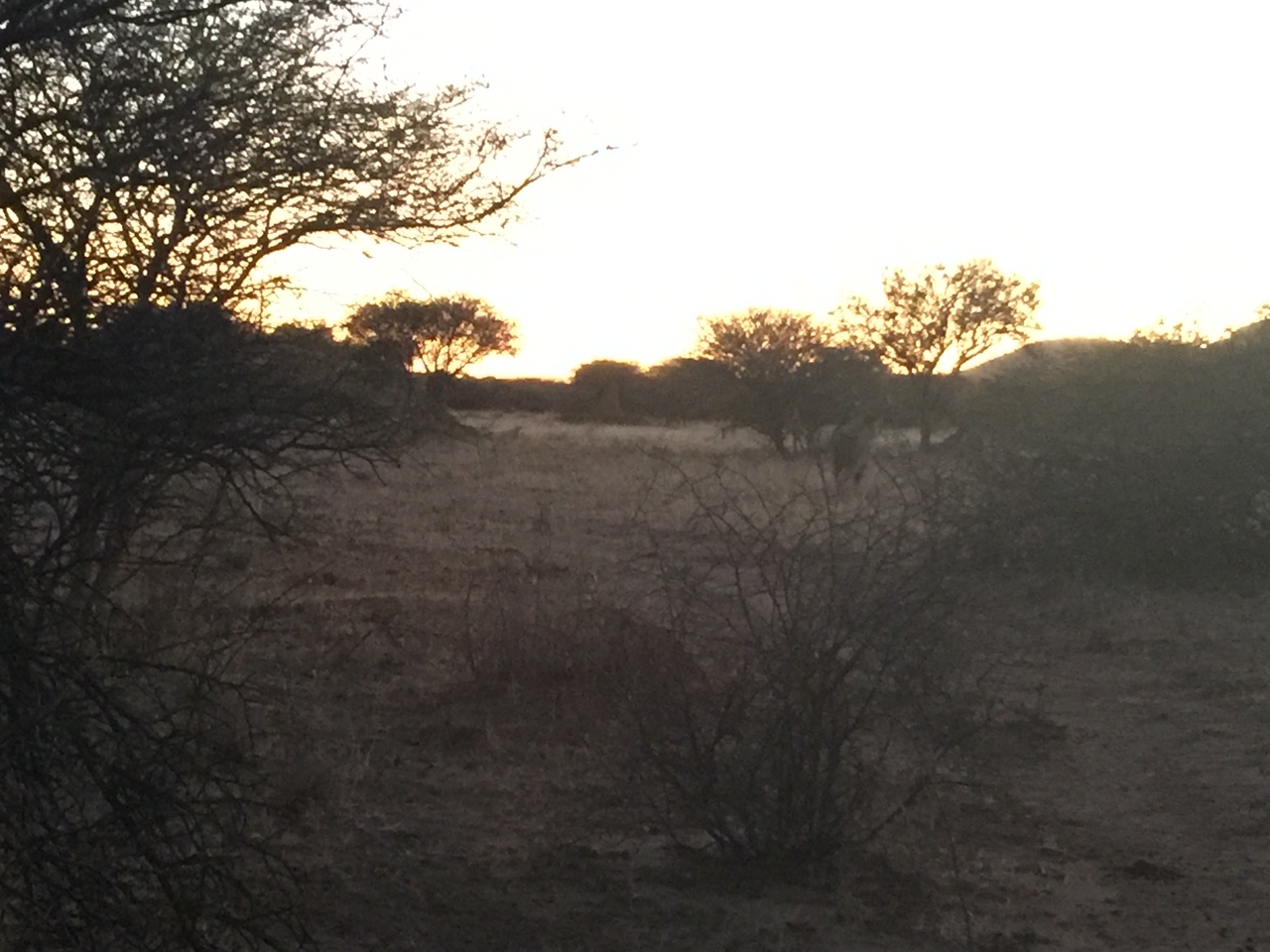 [9561] 2016_06_23_17_44_50_Africa_iPhone_6_Plus_IMG_3549_00191.jpg