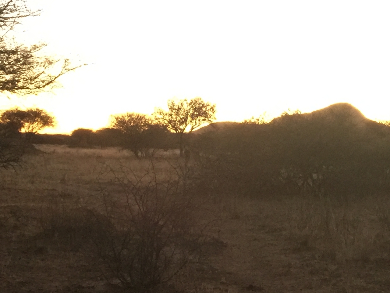 [9563] 2016_06_23_17_45_05_Africa_iPhone_6_Plus_IMG_3550_00192.jpg