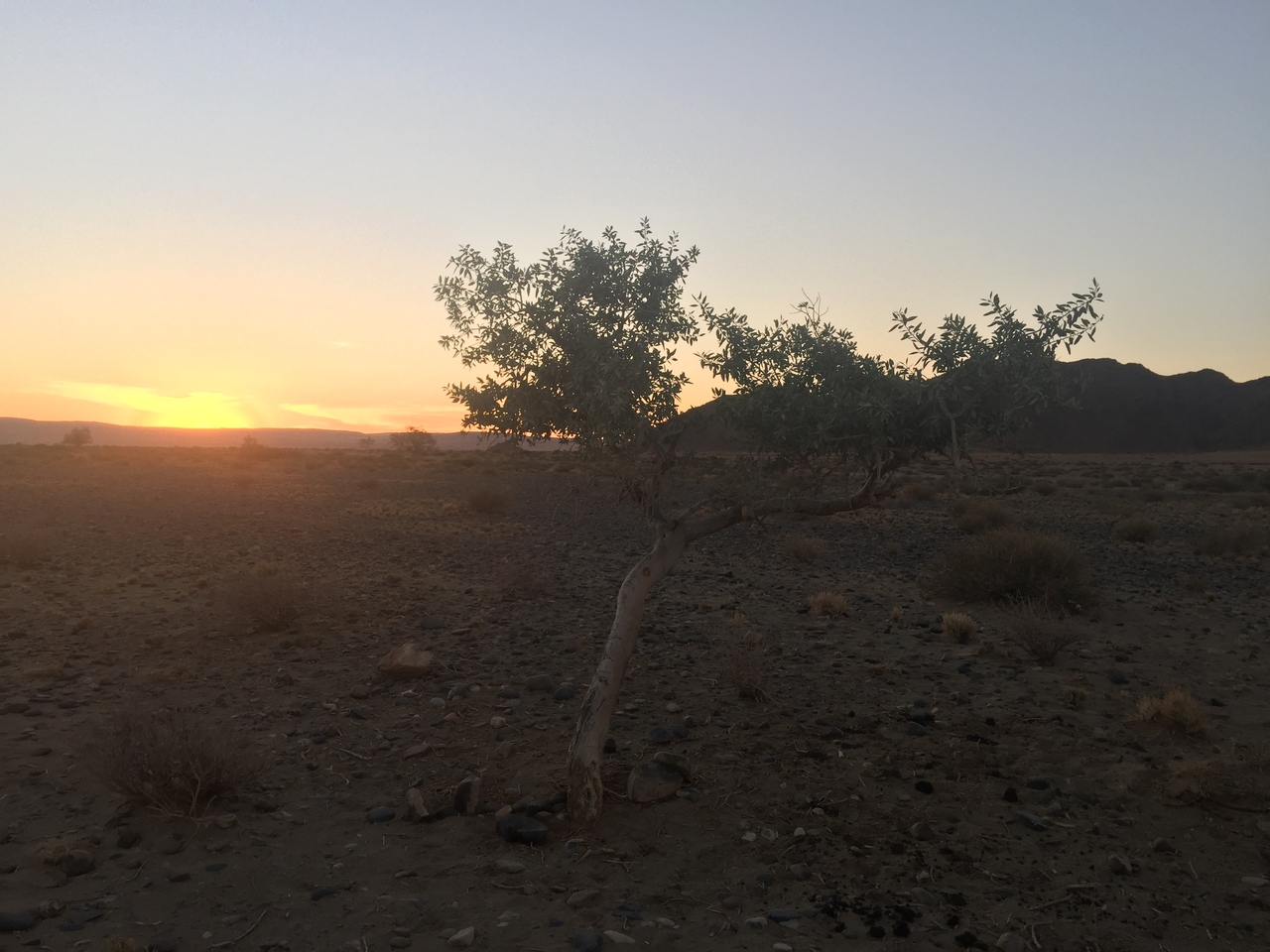 [14291] 2016_06_24_17_14_52_Africa_iPhone_6_Plus_IMG_3636_06837.jpg