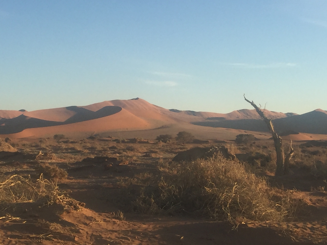 [15476] 2016_06_25_07_20_23_Africa_iPhone_6_Plus_IMG_3673_00284.jpg