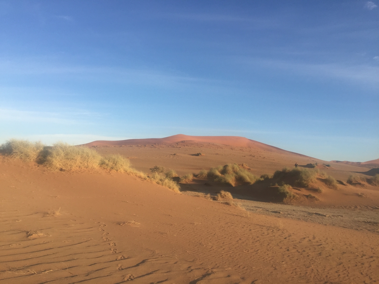 [15543] 2016_06_25_07_31_42_Africa_iPhone_6_Plus_IMG_3676_06871.jpg