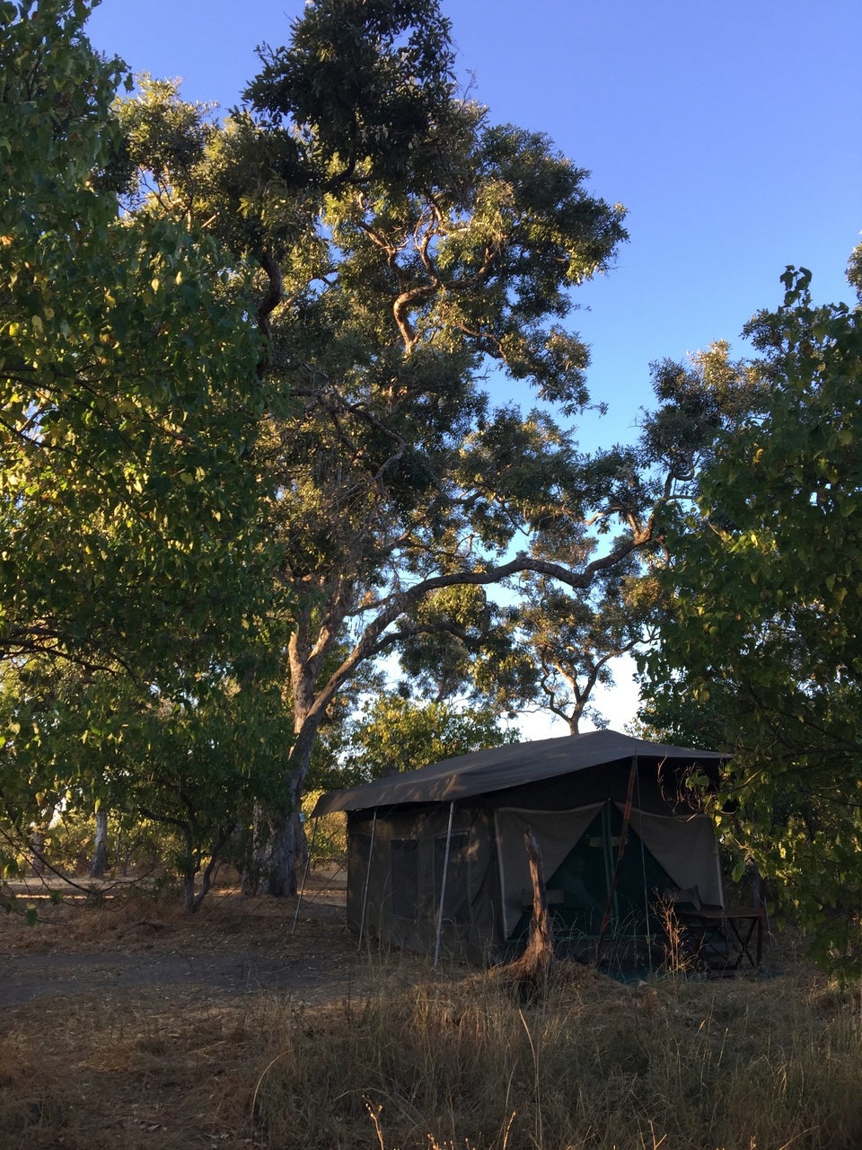 [17293] 2016_06_27_16_20_42_Africa_iPhone_6_Plus_IMG_3764_00359.jpg