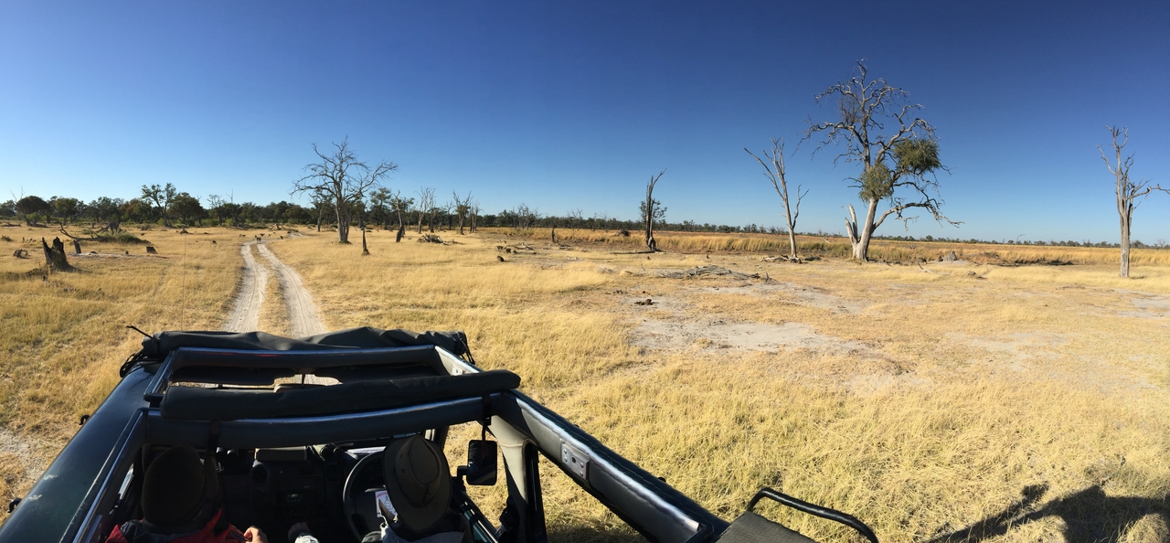 [19850] 2016_06_28_07_47_14_Africa_iPhone_6_Plus_IMG_3788_06959.jpg