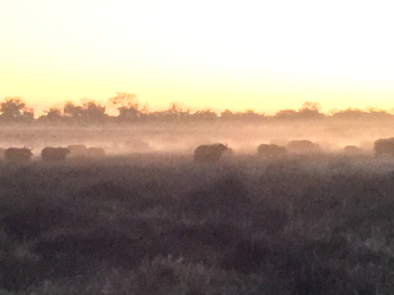 [20459] 2016_06_28_18_21_21_Africa_iPhone_6_Plus_IMG_3848_06982.jpg